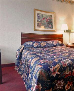 Americas Best Value Inn เซอร์ซี ห้อง รูปภาพ
